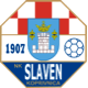 Team logo